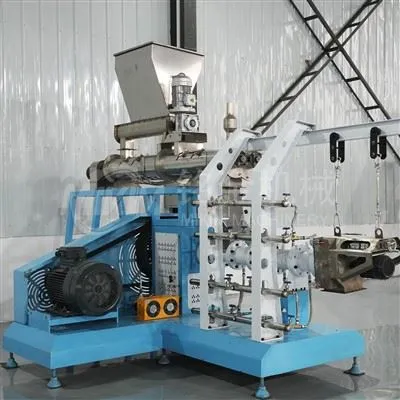 Which Aspects to Evaluate Before Buying a fish feed pellet extruder machine?