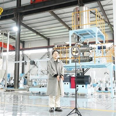 Floating feed pellet production line Floating feed pellet production line